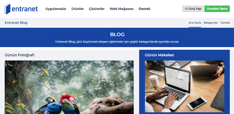 Entranet Yeni Blog Sayfamız Yayında